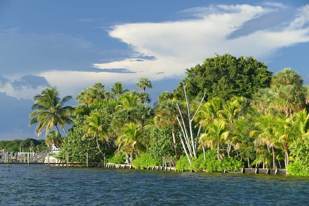 Click to See Next Image